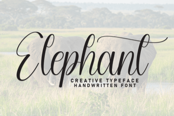 Elephant: The Handcrafted Typeface That Brings Vivacious Zeal to Your Designs